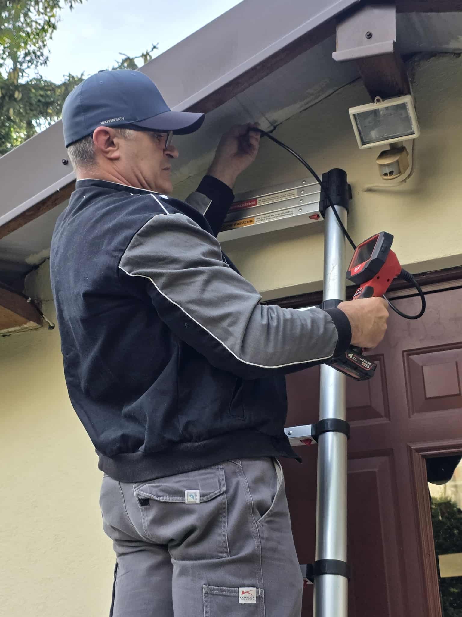 Zwalczanie os – Pest ExTerminator