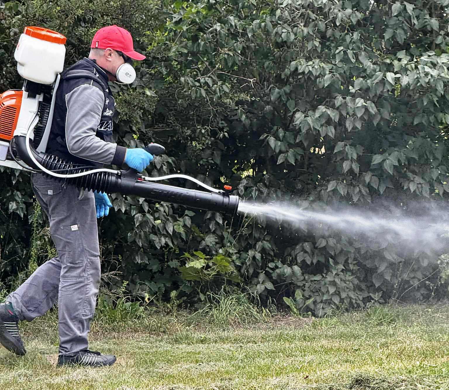 Profesjonalny oprysk dezynsekcyjny Pest ExTerminator Siedlce