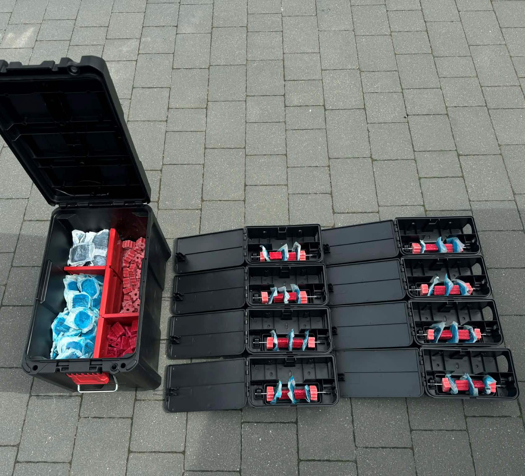 Deratyzacja – Pest ExTerminator