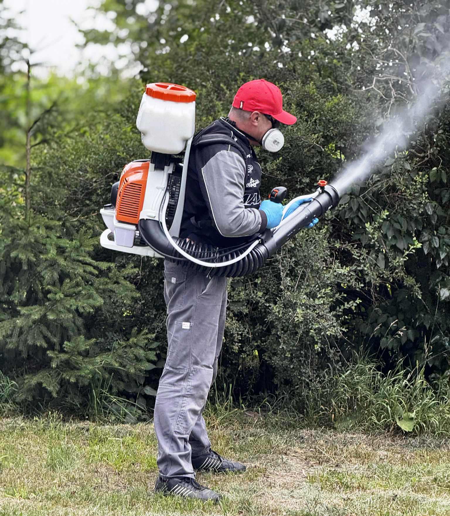Zwalczanie komarów w ogrodzie Pest ExTerminator