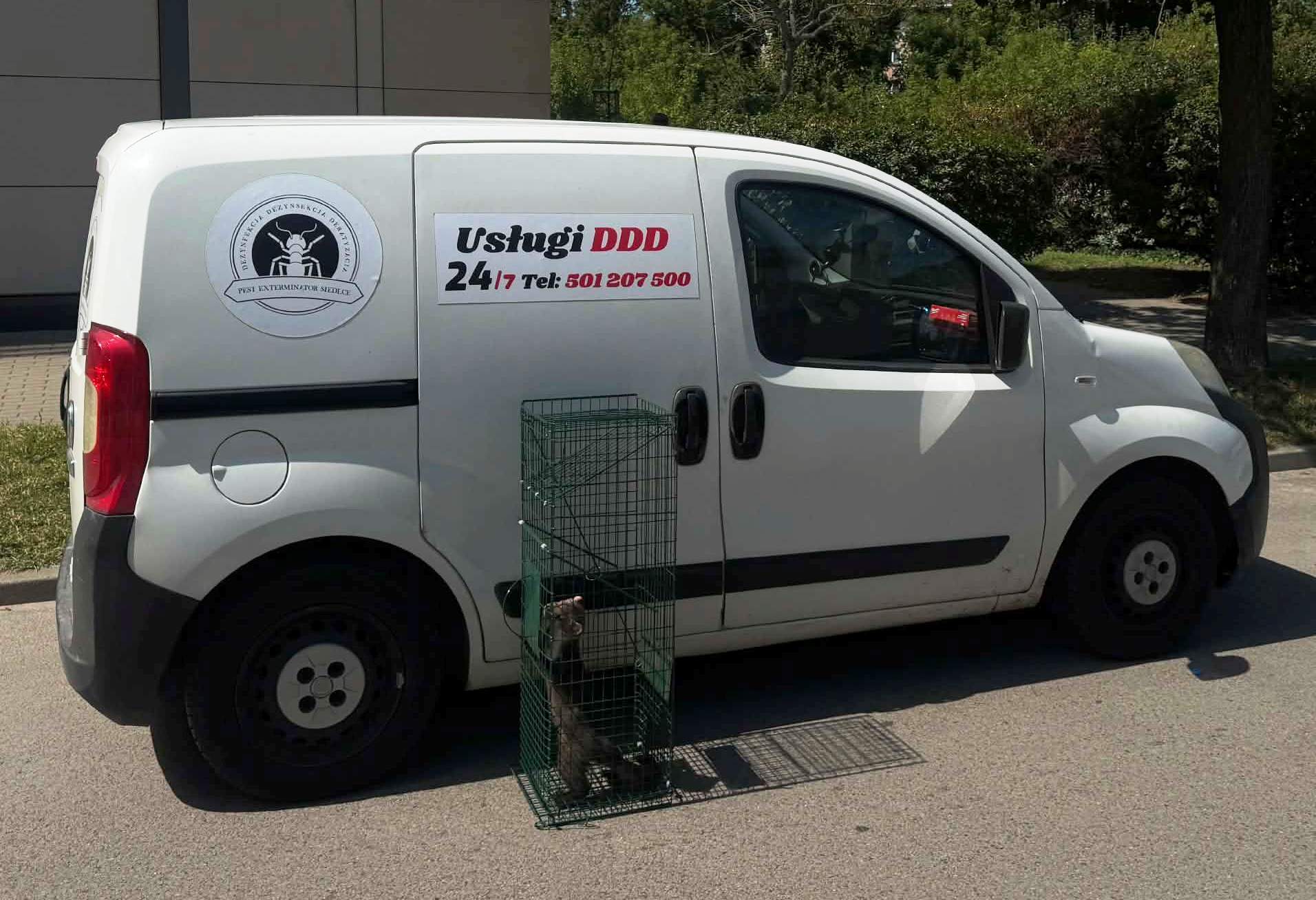 Odławianie kun – Pest ExTerminator