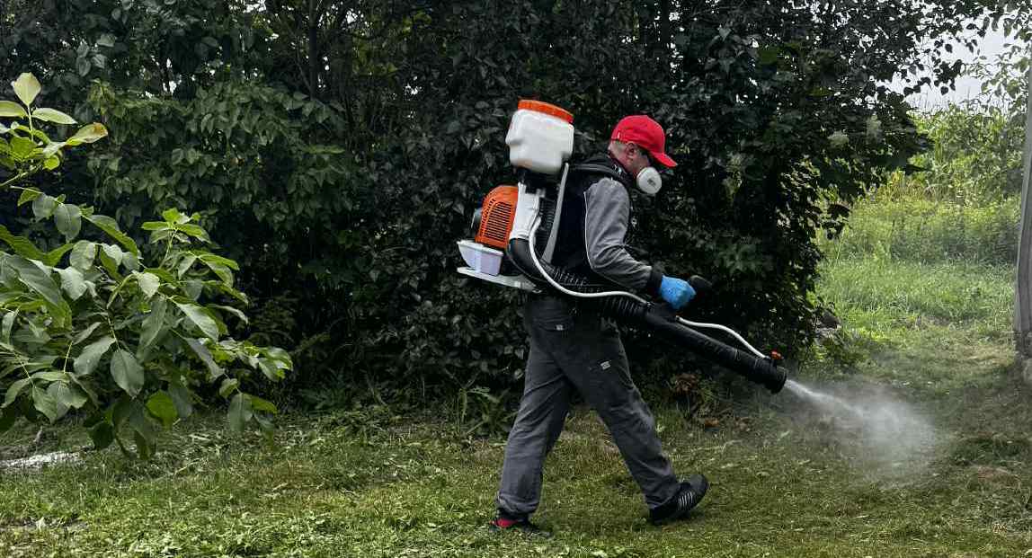 Zwalczanie kleszczy na posesji