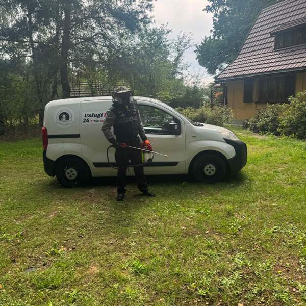 Zwalczanie szerszeni – Pest ExTerminator